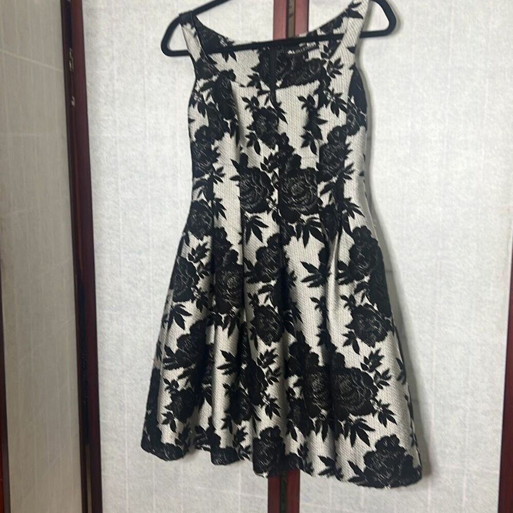 Jill Jill Stuart Womens Floral Jacquard Fit & Flare Knee Length Dress Black Size